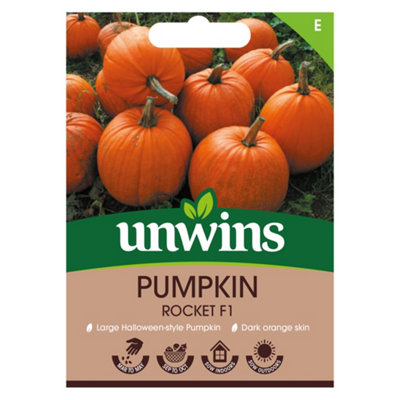 Unwins Pumpkin Rocket F Easy To Grow Seeds from B&Q