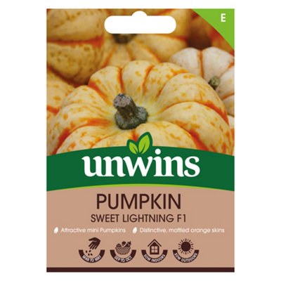 Unwins Pumpkin Sweet Lightning F Easy To Grow Seeds from B&Q