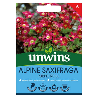 Unwins Alpine Saxifraga Purple Robe Easy To Grow Seeds from B&Q
