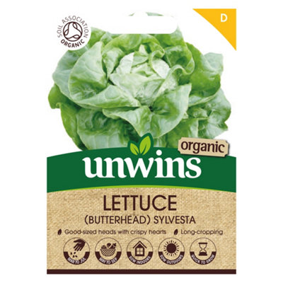 Unwins Lettuce (Butterhead) Sylvesta (Organic) from B&Q