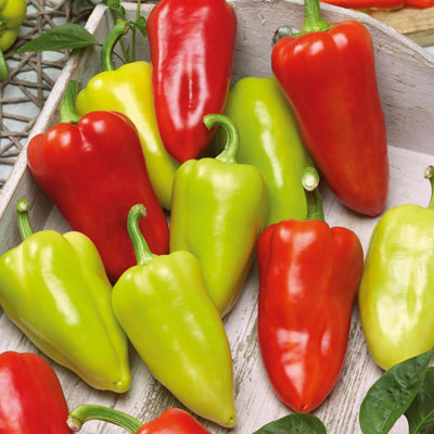 Marshalls Garden Sweet Slavus Pepper Seeds (Capsicum Annuum) Pack Of 8 Early High-Yield from B&Q