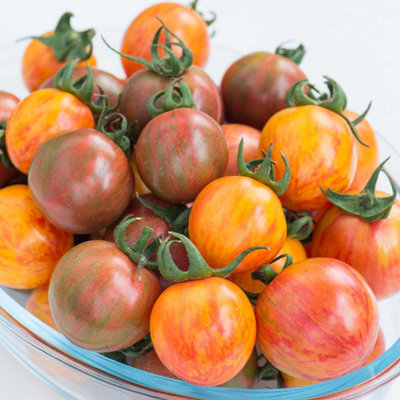 Marshalls Garden Tomato Seeds Bumble Bee MixStriped Cherry Tomatoes 10 Seeds from B&Q