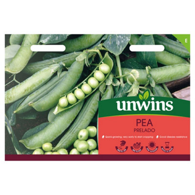 Unwins Pea Prelado Easy To Grow Seeds from B&Q