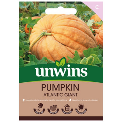 Unwins Pumpkin Atlantic Giant Easy To Grow Seeds from B&Q