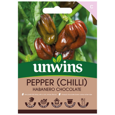 Unwins Pepper (Chilli) Habanero Chocolate from B&Q