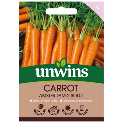 Unwins Carrot Amsterdam Solo Easy To Grow Seeds from B&Q