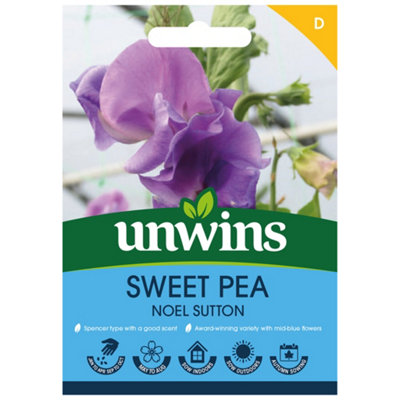 Unwins Sweet Pea Noel Sutton Easy To Grow Seeds from B&Q