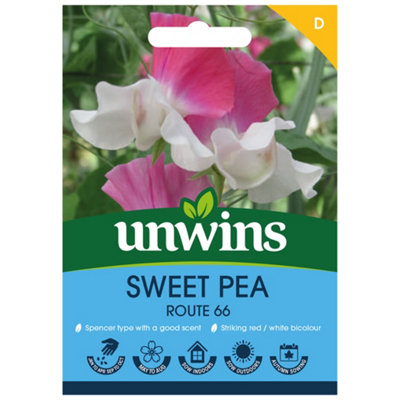 Unwins Sweet Pea Route Easy To Grow Seeds from B&Q