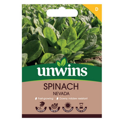 Unwins Spinach Nevada Easy To Grow Seeds from B&Q