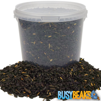 Gardeners Dream Black Busybeaks Oil Sunflower Seeds - Oil Rich Feed Wild Garden Bird Food 5L