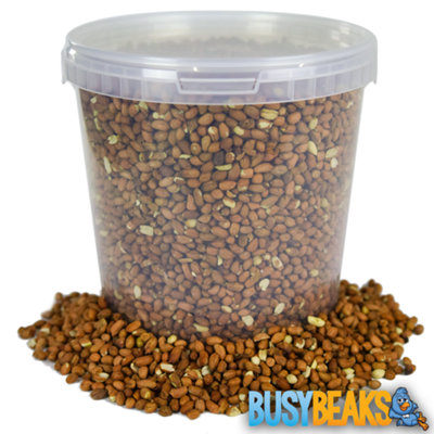 Gardeners Dream 10L Busybeaks Whole PeanutsFresh Premium Wild Garden Bird Energy Seed Food Feed from B&Q