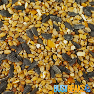 B&Q -  1Kg Busybeaks Year Round MixtureNutritious Garden Bird Seed Food For Wild Birds