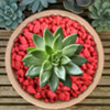 Found it product image.