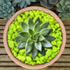 Found it product image.
