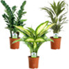 Found it product image.