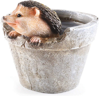 Hedgehog Design Weather-Resistant Polyresin Garden Plant Pot With Drainage HolesH15Cm X 15.5Cm Diameter from B&Q
