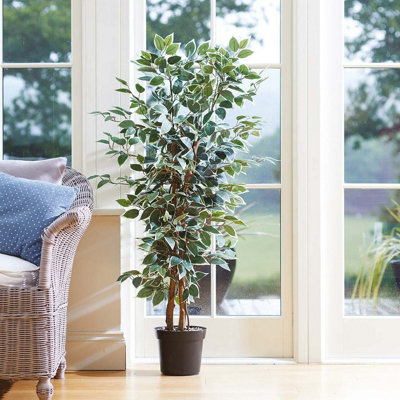 Artificial Weeping Fig PlantFaux Fake Tall Green Houseplant Tree In Black PotIndoor Home Floral DecorationH130 X 30Cm Dia from B&Q