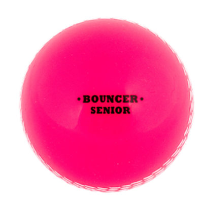 Duncan Fearnley Cricket Bouncer Cricket Wind Ball Senior from B&Q