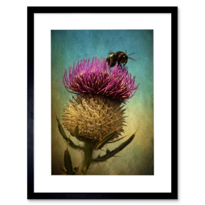 Artery8 Photo Bumble Bee Thistle Flower Scotland 12X16" Framed Wall Art Print from B&Q