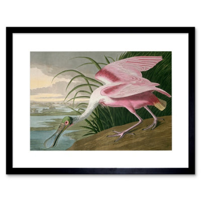 Artery8 Painting Bird Audubon Roseate Spoonbill 12X16" Framed Wall Art Print from B&Q