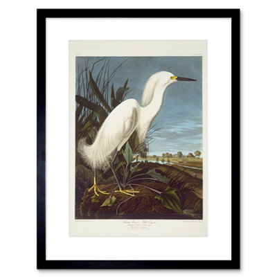 Artery8 Painting Bird Audubon Snowy Heron Egret 12X16" Framed Wall Art Print from B&Q