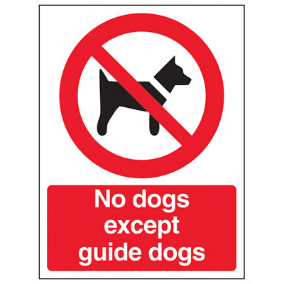 V Safety No Dogs Except Guide Warning SignAdhesive Vinyl150X200mm (X3) from B&Q