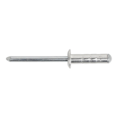 Sealey Rm4819S Aluminium Multi-Grip Rivet Standard Flange 4.8 X 19mm Pack Of 200 from B&Q