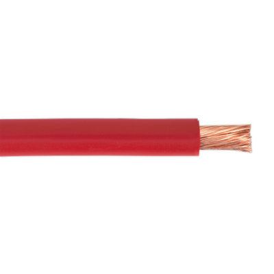 Sealey Automotive Starter Cable 196/0.40mm 25mm² 170A 10M Red from B&Q