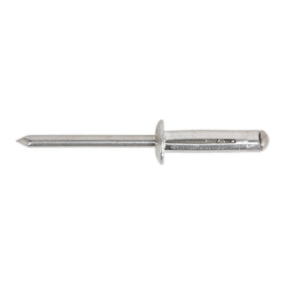 B&Q Sealey Load Spreading Aluminium Rivet Standard Flange 4.8 X 27Mm Pack Of 200 Rb4827