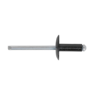 Sealey Aluminium Rivet Black Large Flange 4.8 X 18mm Pack Of 200 Rab4818L from B&Q
