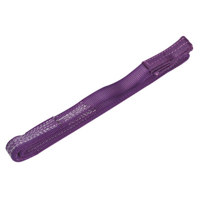 Sealey 1 Tonne Capacity 2 Metres Load Sling 100% High Strength Polyester Ls1002 from B&Q