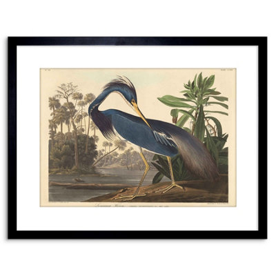 Artery8 Wall Art Print Painting Bird Audubon Louisiana Heron Artwork Framed 9X7 Inch from B&Q