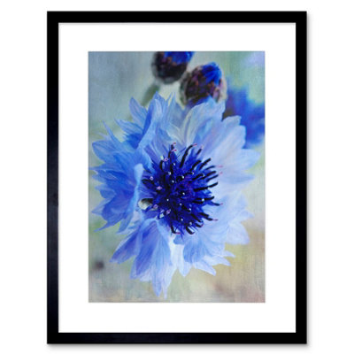 Artery8 Cornflower Flower Blue Bloom Living Room 12X16" Framed Wall Art Print from B&Q
