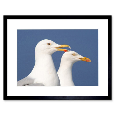 Artery8 Seagulls Birds Sea Seaside Bathroom Home Decor 12X16" Framed Wall Art Print from B&Q