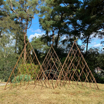 Selections Set Of 3 Expanding Willow Garden Obelisks (1.2M) Ideal For Climbing Plants from B&Q