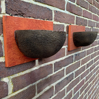 Selections Swallow Nest Bird Houses Rounded Half Cup Nester (Set Of 2) from B&Q