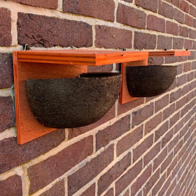 Selections House Martin Bird Nest Box Rounded Half Cup With Top Nester (Set Of 2) from B&Q