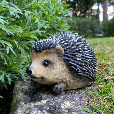 Selections Hoglet Baby Hedgehog Resin Garden Ornament from B&Q