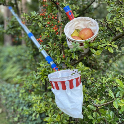 Selections Deluxe Lightweight Telescopic Apple & Fruit Picker With Extra Picking Head from B&Q
