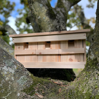 Selections Sparrow Colony Terrace Wooden Nesting Box With Removable Nest Fronts from B&Q