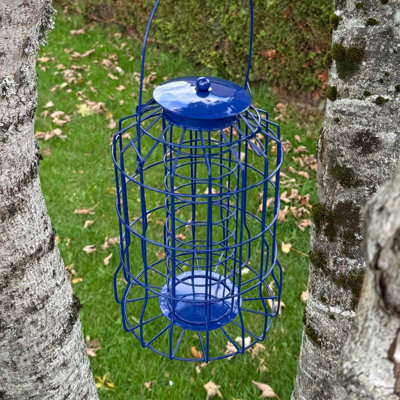 Selections Squirrel Proof Hanging Suet Fatball Bird Feeder from B&Q