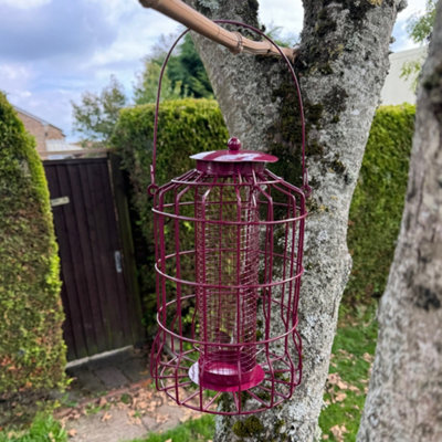 Selections Squirrel Proof Hanging Bird Nut Feeder from B&Q