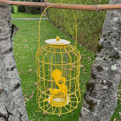 Selections Squirrel Proof Hanging Bird Seed Feeder from B&Q