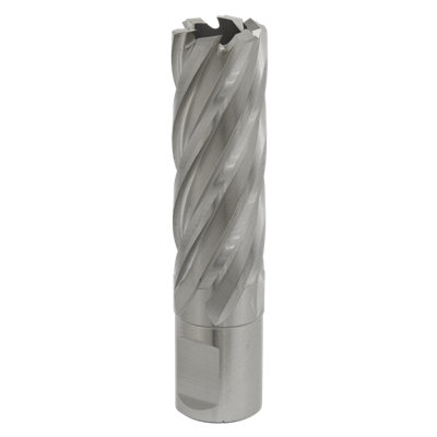 Sealey Rotabor Cutter Hss M2 Steel 20Mm Cut Depth 50Mm Magnetic Drill Rbhss20l