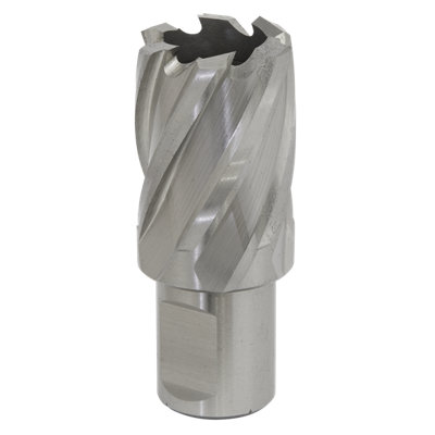 Sealey Rotabor Cutter Hss M2 Steel 25Mm Cut Depth 25Mm Magnetic Drill Rbhss25s