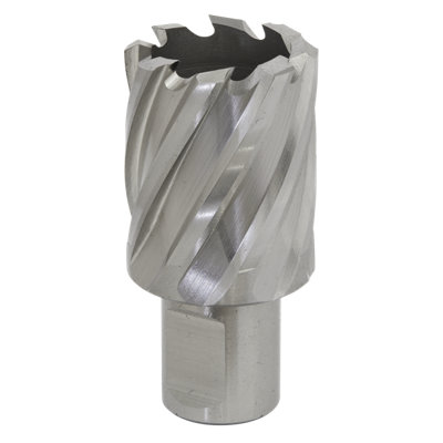 Sealey Rotabor Cutter Hss M2 Steel 29Mm Cut Depth 25Mm Magnetic Drill Rbhss29s