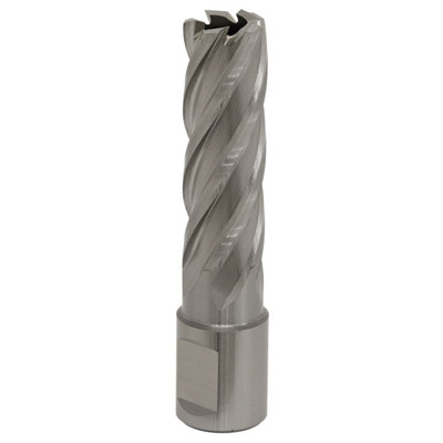 Sealey Rotabor Cutter Hss M2 Steel 17mm Cut Depth 50mm Magnetic Drill Rbhss17L from B&Q