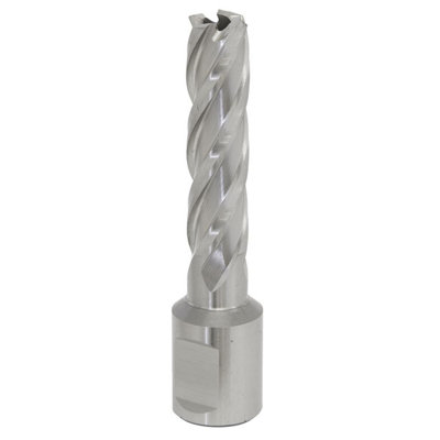  - Sealey Rotabor Cutter Hss M2 Steel 13mm Cut Depth 50mm Magnetic Drill Rbhss13L