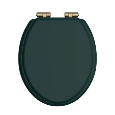 Heritage Soft Close Toilet Seat With Brushed Brass HingesClassic Green from B&Q