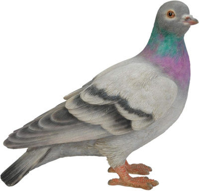 B&Q -  Pigeon Garden Ornament